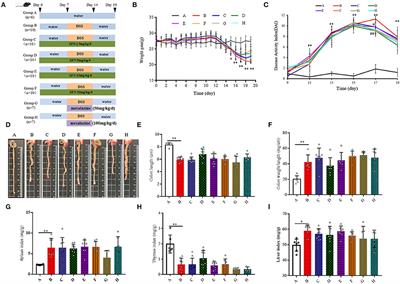 The Protective Effect of Sulforaphane on Dextran Sulfate Sodium-Induced Colitis Depends on Gut Microbial and Nrf2-Related Mechanism